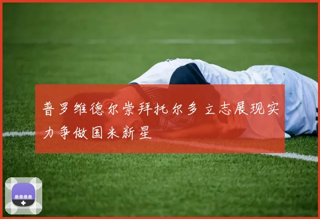 普罗维德尔崇拜托尔多立志展现实力争做国米新星